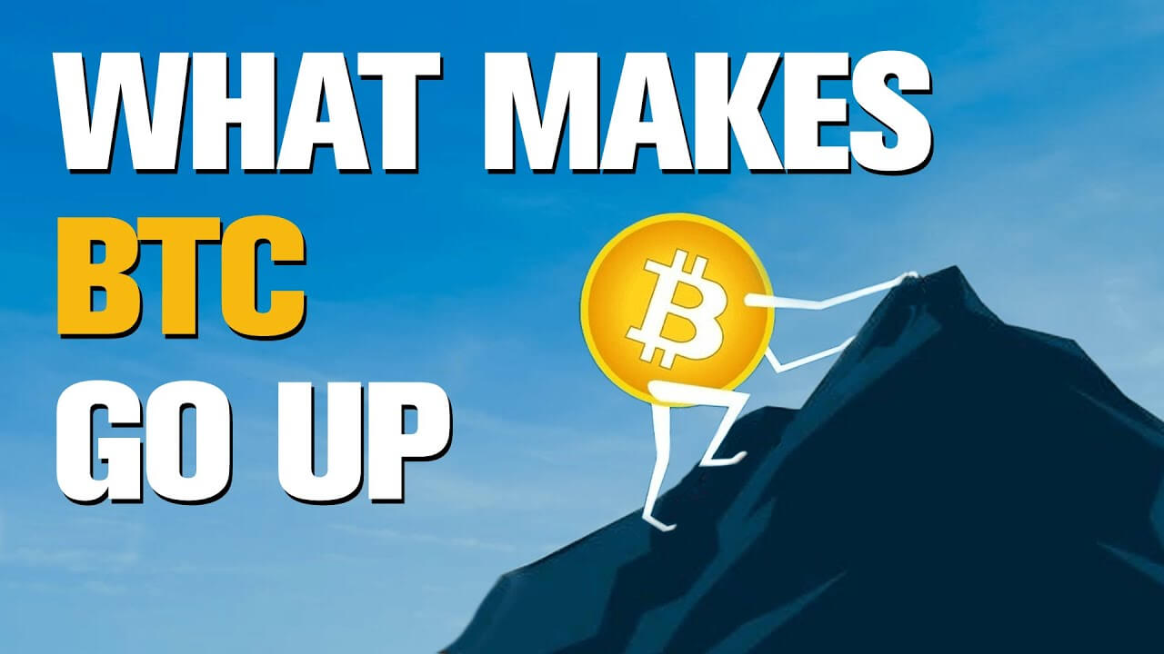 What Makes the Bitcoin Price Go Up?